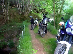 DSCN0727 DSCN0727