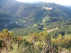 DSCN0766 DSCN0766