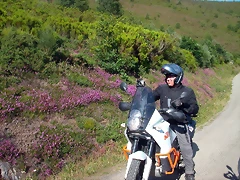 DSCN0737 DSCN0737