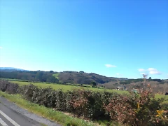 DSCN2491 DSCN2491