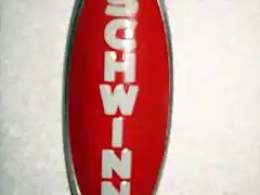 Schwinn Roja