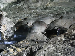 R0012770 R0012770