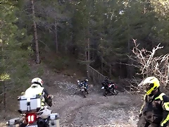 64