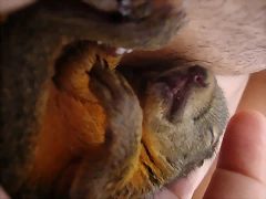 Así duerme ella ( bueno el)