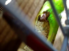 IMG_20190102_225307