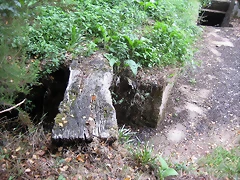 IMG_0303 IMG_0303