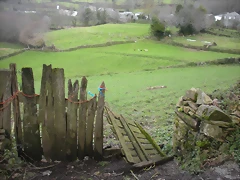 DSCN2795 DSCN2795