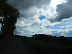 DSCN9309