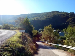 DSCN9356