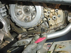 DSCN4510 DSCN4510