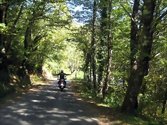 IMG_0576 IMG_0576