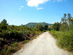 DSCN7120 DSCN7120