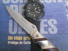 PC110033