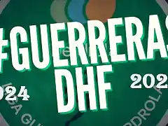 DHF 24-25