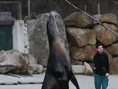 Zoo Lyon + Safari Peaugres febrer 2011 2131 Zoo Lyon + Safari Peaugres febrer 2011 2131
