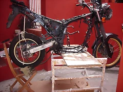transplante de motor- (58) transplante de motor- (58)