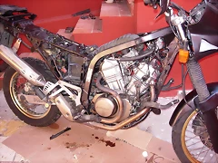 transplante de motor- (71) transplante de motor- (71)