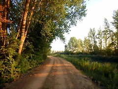 DSCN9534 DSCN9534