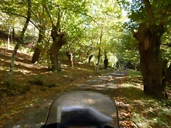 DSCN8664 DSCN8664