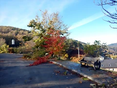 DSCN9959 DSCN9959