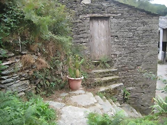 IMG_0278 IMG_0278