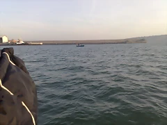 05022011817 05022011817