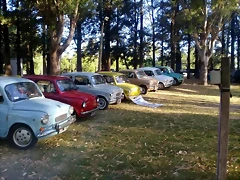 IMG-20171210-WA0037 IMG-20171210-WA0037