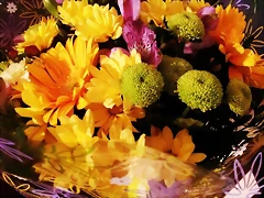 16-11-2012 (2) 16-11-2012 (2)