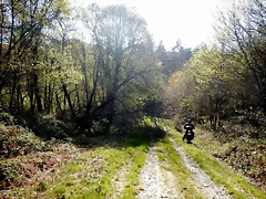 DSCN4821 DSCN4821