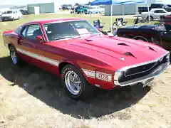1969_red_Shelby_Mustang_GT350_side