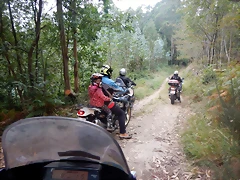DSCN0489 DSCN0489