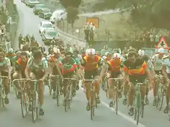 MILAN SAN REMO 1980