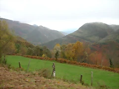 DSCN5984 DSCN5984