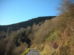 DSCN2411 DSCN2411