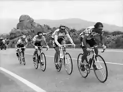 VUELTA DE 1988-M.SANCHEZ-PAJARO