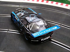 P1010003