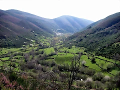 DSCN9621'5 DSCN9621'5