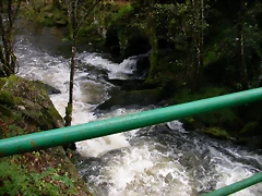 DSCN5757 DSCN5757