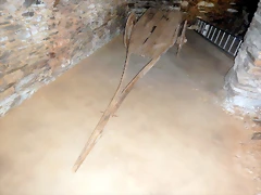 DSCN0354 DSCN0354