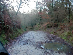 DSCN7196 DSCN7196