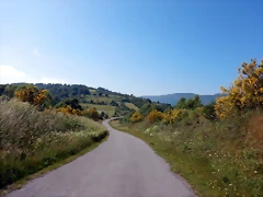 DSCN4790 DSCN4790