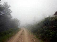 DSCN5445 DSCN5445