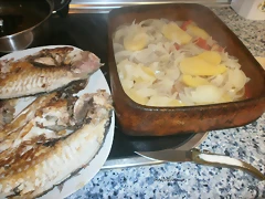 PC070089 PC070089