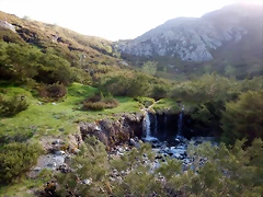 DSCN1454 DSCN1454