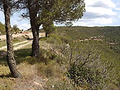 20160416_151649 20160416_151649
