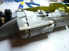 P1090194 P1090194