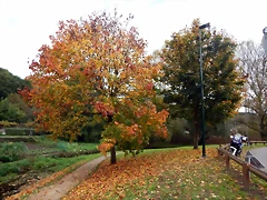 DSCN2622