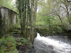 DSCN4176 DSCN4176