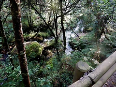 DSCN8471 DSCN8471