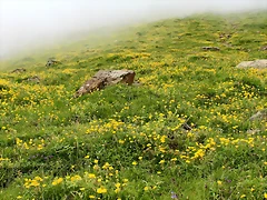 IMG_7485 IMG_7485